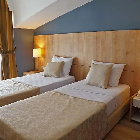 Hotel Elamir Felizya
