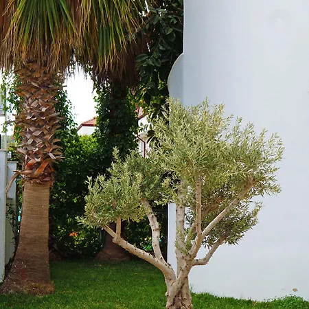Hotel Elamir Felizya Kemer